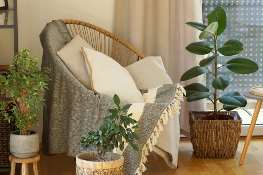 Furniture Trends